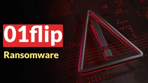 Mã độc Ransomware 01flip: Mối đe dọa đa nền tảng nguy hiểm