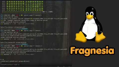 Lỗ hổng CVE Fragnesia nguy hiểm trên Linux kernel