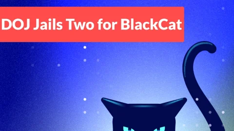 Ransomware ALPHV BlackCat: Mối đe dọa nguy hiểm