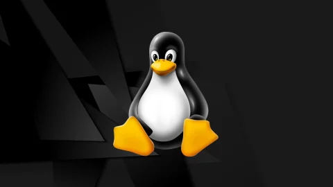 CVE-2026-23111: Lỗ hổng nguy hiểm trong nftables