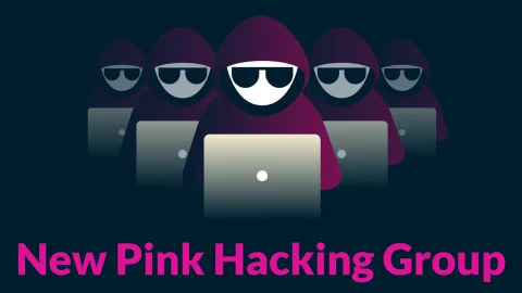 Pink: Mối Đe Dọa Nghiêm Trọng Với Tấn Công Kỹ Thuật Xã Hội