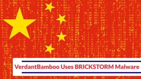 VerdantBamboo: Nguy hiểm Tấn công Mạng Cực Kỳ Tinh Vi
