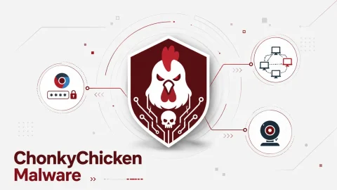 Mã độc ChonkyChicken: Nguy hiểm Tấn công Đánh cắp Dữ liệu