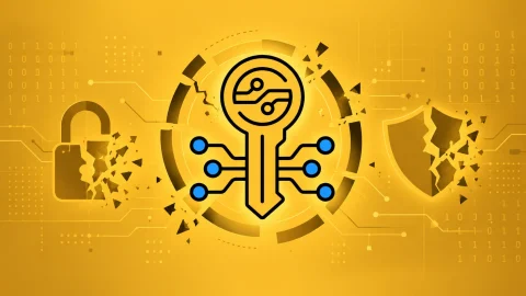 Lỗ hổng CVE: Tấn công RSA nguy hiểm, rủi ro bảo mật